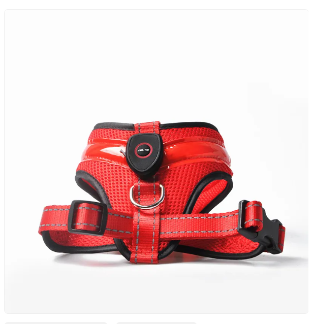 Red dog harness with black accents on a white background