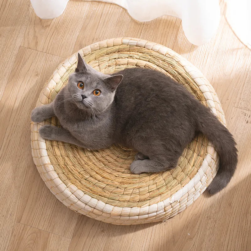 Gray cat lying on a woven pet bed on a wooden floor