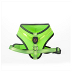 Green dog harness with reflective material on a white background