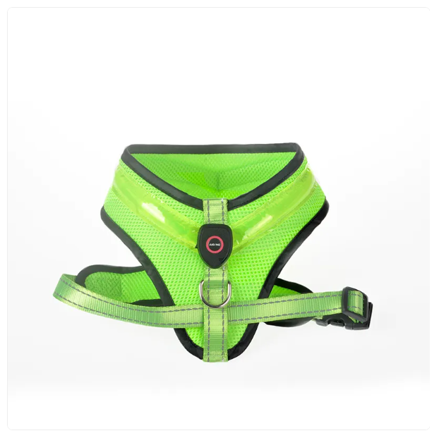 Green dog harness with reflective material on a white background