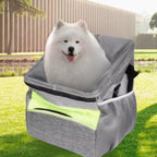 White dog in a gray pet carrier with a green grass background