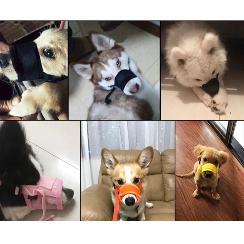 Collage of dogs wearing various types of muzzles in different settings.