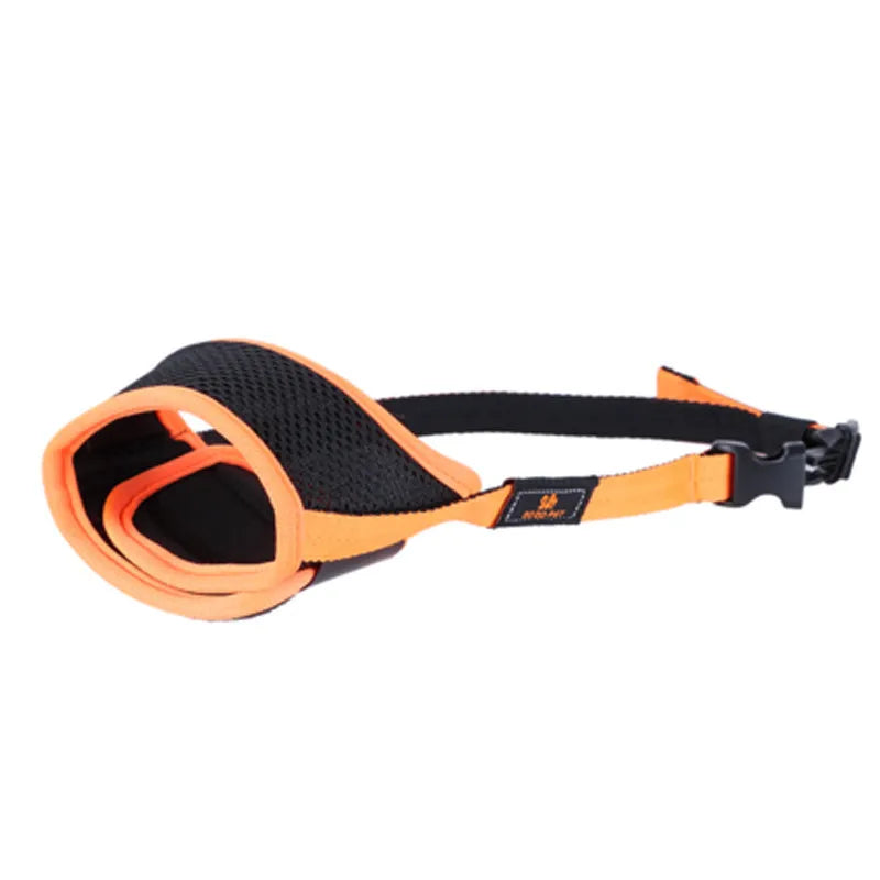 Orange and black dog muzzle on a white background