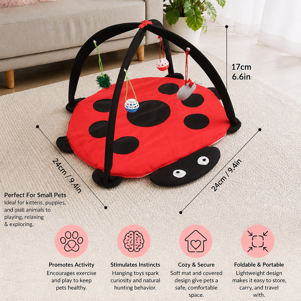 Red and black ladybug-shaped pet play mat with measurements and features on a beige carpet.