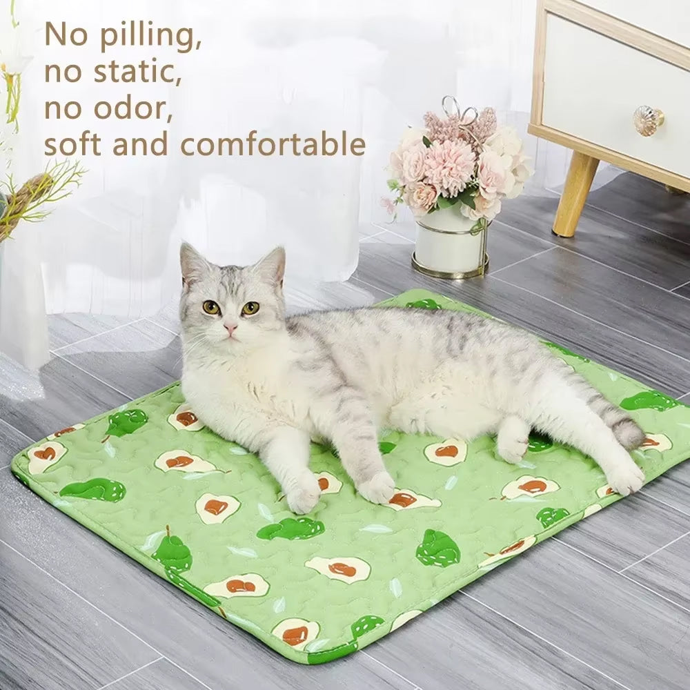Cat lying on a green mat with pear pattern in a room setting