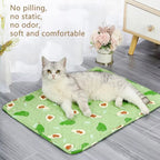 Cat lying on a green mat with pear pattern in a room setting