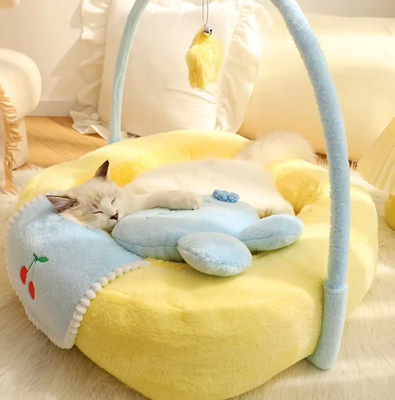 Cat sleeping on a yellow pet bed with a blue blanket and toy, in a cozy room setting.