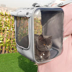 Cat in a transparent pet carrier worn by a person, with a garden background