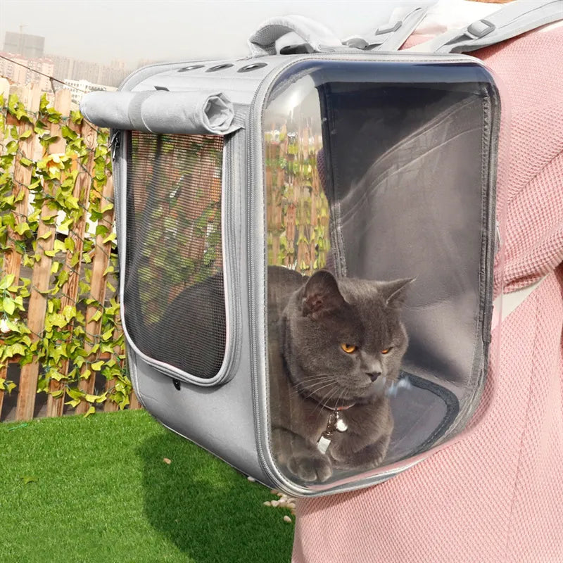 Cat in a transparent pet carrier worn by a person, with a garden background
