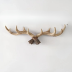 Decorative antlers on a white background