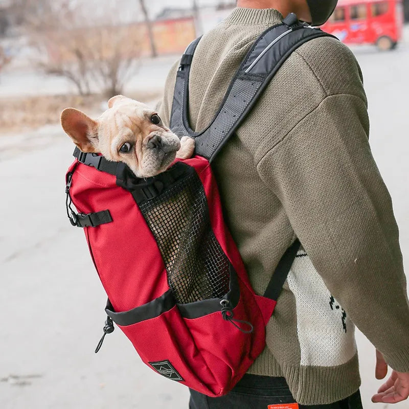 Person carrying a small dog in a red backpack on a snowy street.