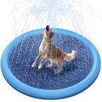 Dog playing in a blue sprinkler pad on a white background
