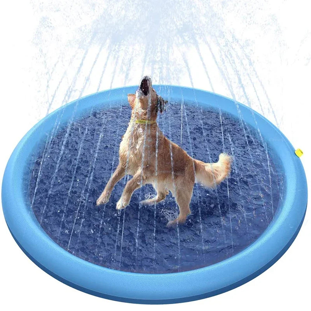 Dog playing in a blue sprinkler pad on a white background