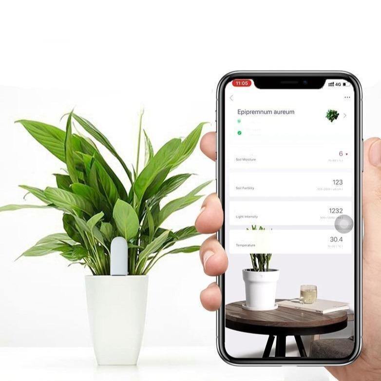 Person holding a smartphone with a plant care app displayed, next to a potted plant.