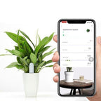 Person holding a smartphone with a plant care app displayed, next to a potted plant.