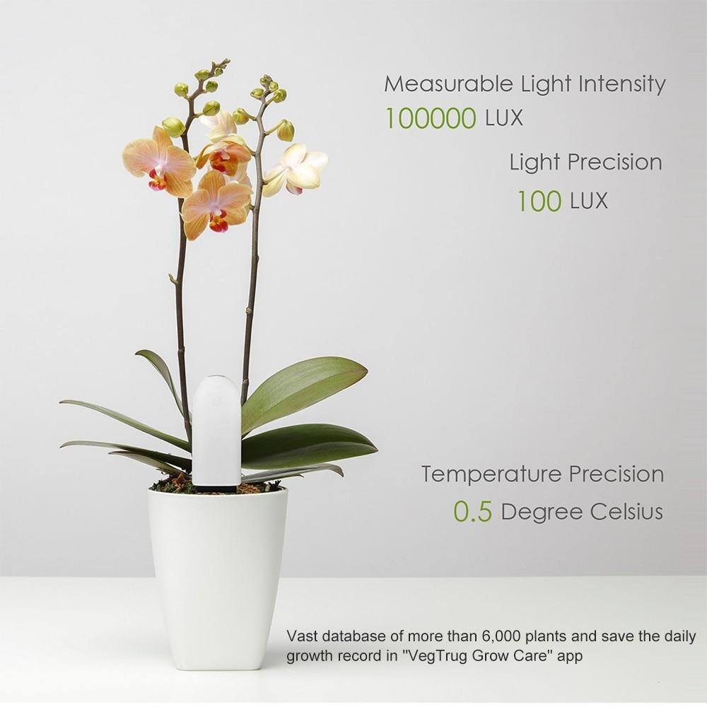 Potted orchid with light intensity and temperature precision display on a gray background
