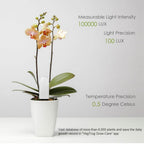 Potted orchid with light intensity and temperature precision display on a gray background