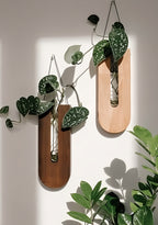 Two wooden wall planters with green leaves on a light background