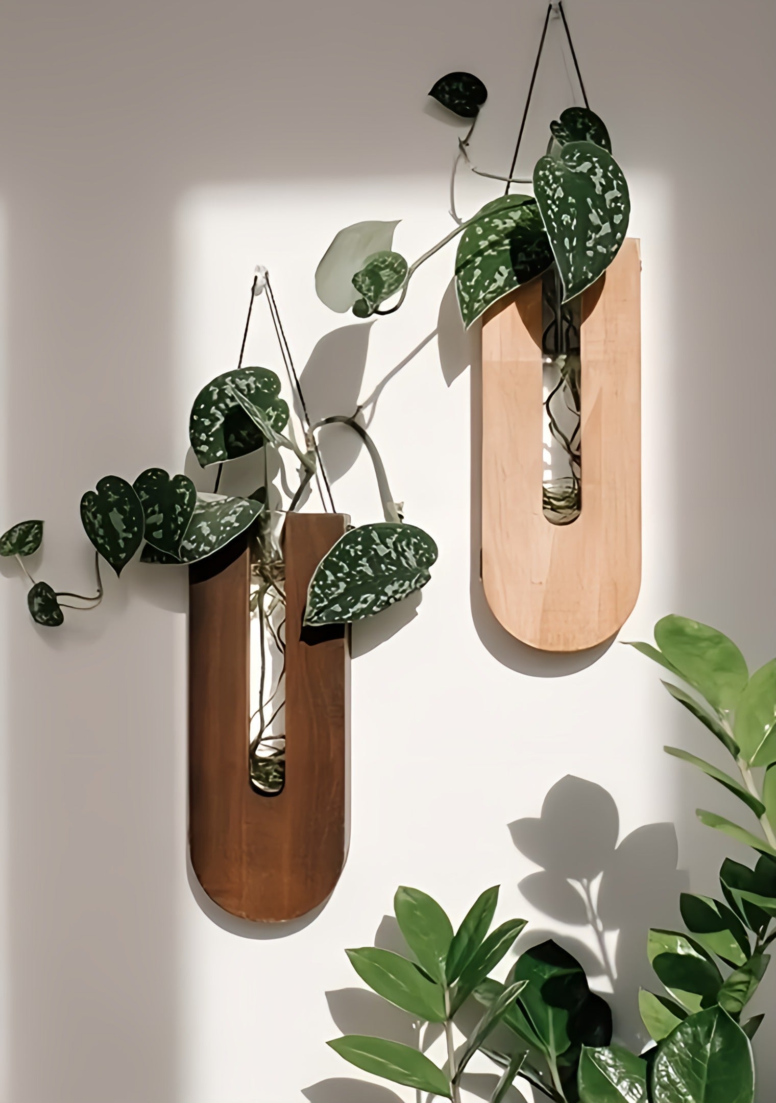 Two wooden wall planters with green leaves on a light background