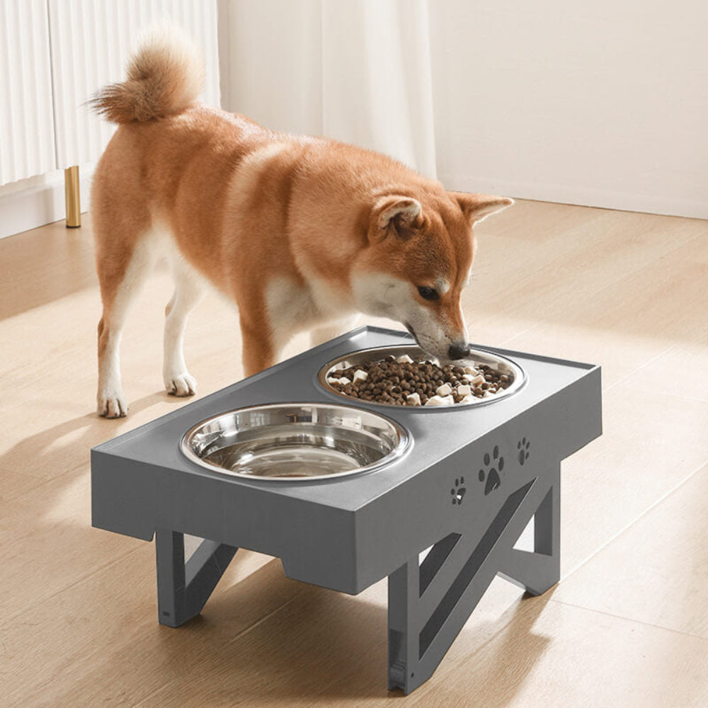 Dog eating from a raised pet bowl on a wooden floor.
