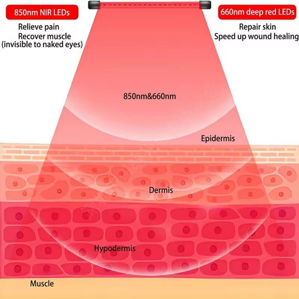 Diagram showing the effects of 850nm and 660nm LEDs on skin layers.