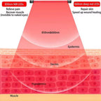 Diagram showing the effects of 850nm and 660nm LEDs on skin layers.