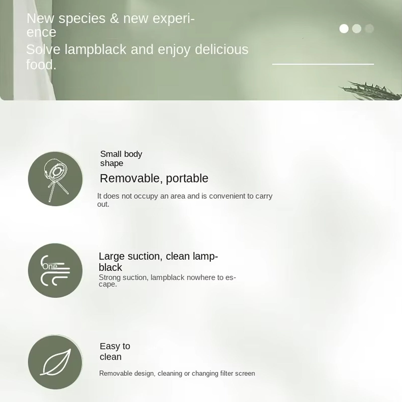 Product description screen with features of a small, portable lampblack device on a light green background.