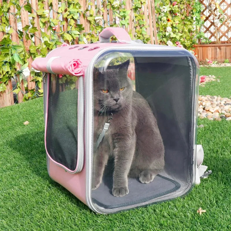 Cat sitting in a pink pet carrier on grass with a garden background