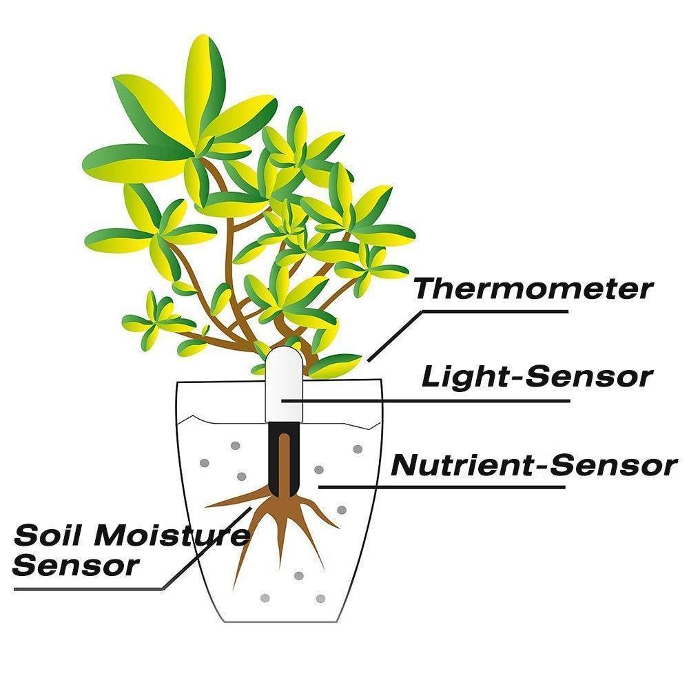 Diagram of a plant with labeled sensors including thermometer, light-sensor, nutrient-sensor, and soil moisture sensor.
