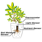 Diagram of a plant with labeled sensors including thermometer, light-sensor, nutrient-sensor, and soil moisture sensor.