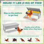 Poultry feeder with chickens and text explaining its features on a green background