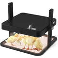 Black poultry incubator with chicks inside on a white background