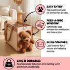 Pet carrier with plush teddy bear inside, featuring features like easy entry, peek-a-boo window, and plush comfort.
