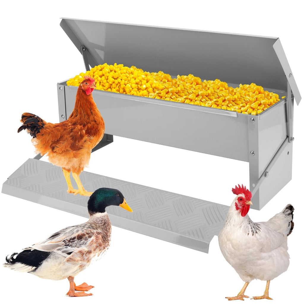 Metal bird feeder with yellow corn, surrounded by three birds on a white background