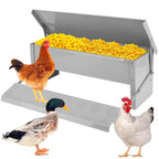 Metal bird feeder with yellow corn, surrounded by three birds on a white background
