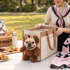 Person with a dog in a pet carrier at a picnic in a park