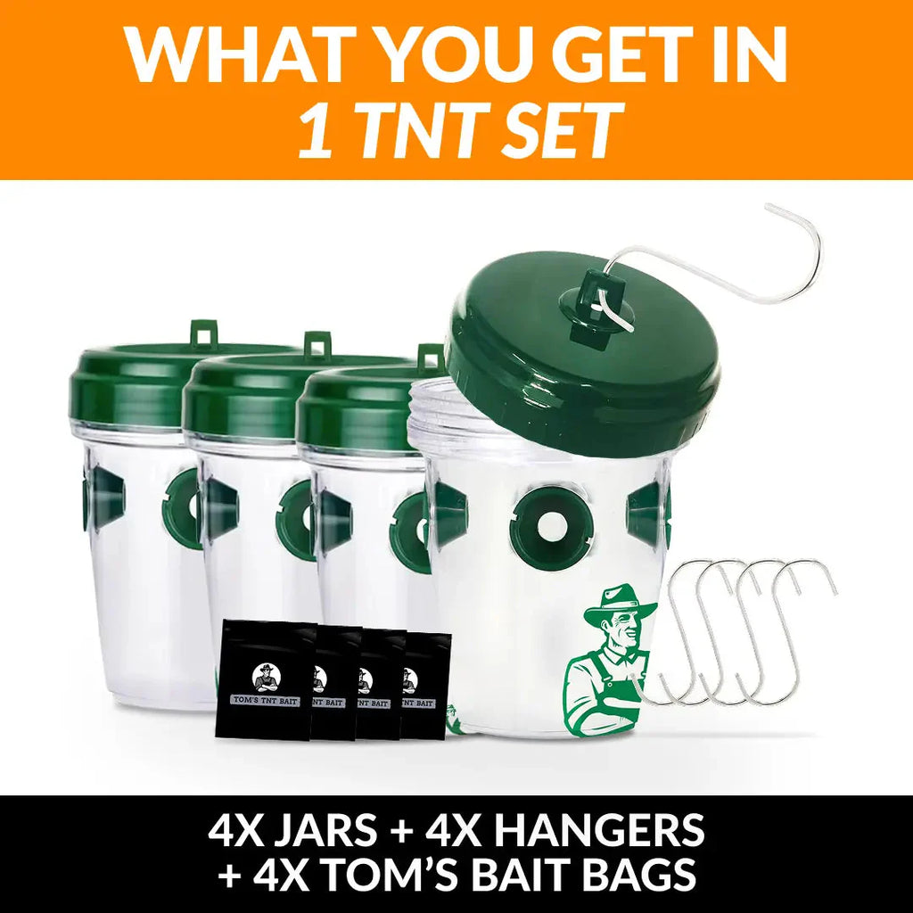 TNT set with four jars, hangers, and bait bags on a white background