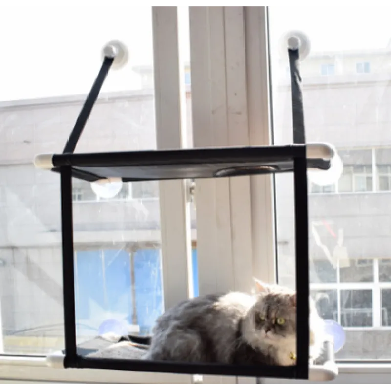 Cat sitting on a black window shelf with a view of a cityscape.