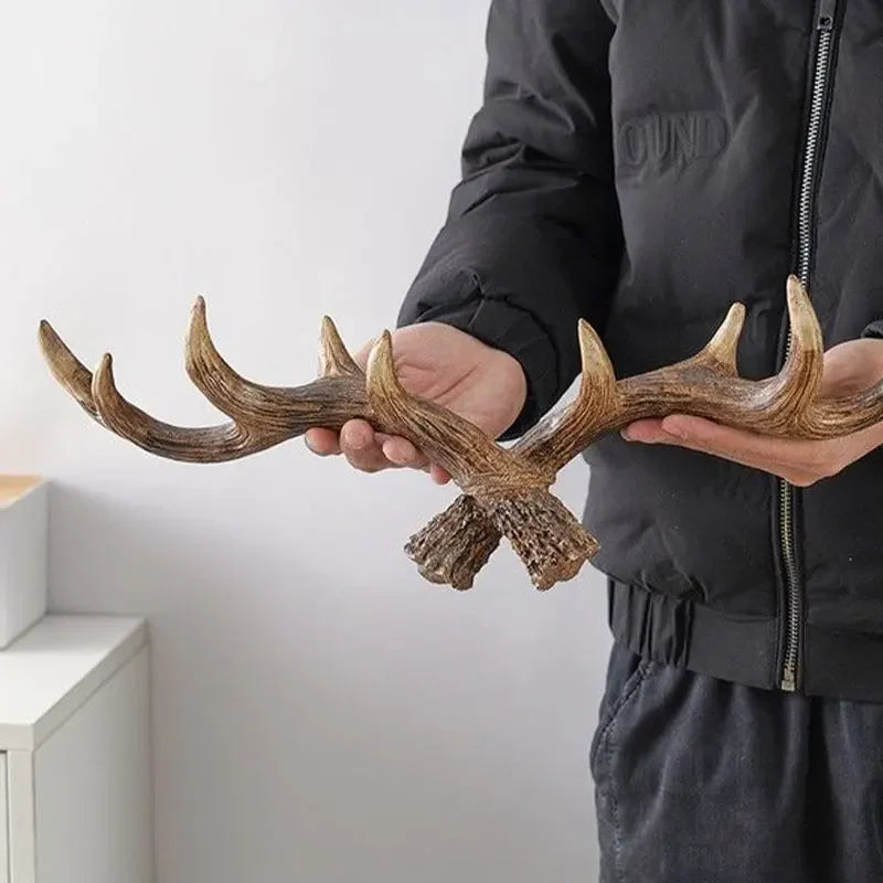 Person holding a set of deer antlers against a plain background