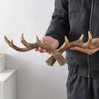 Person holding a set of deer antlers against a plain background