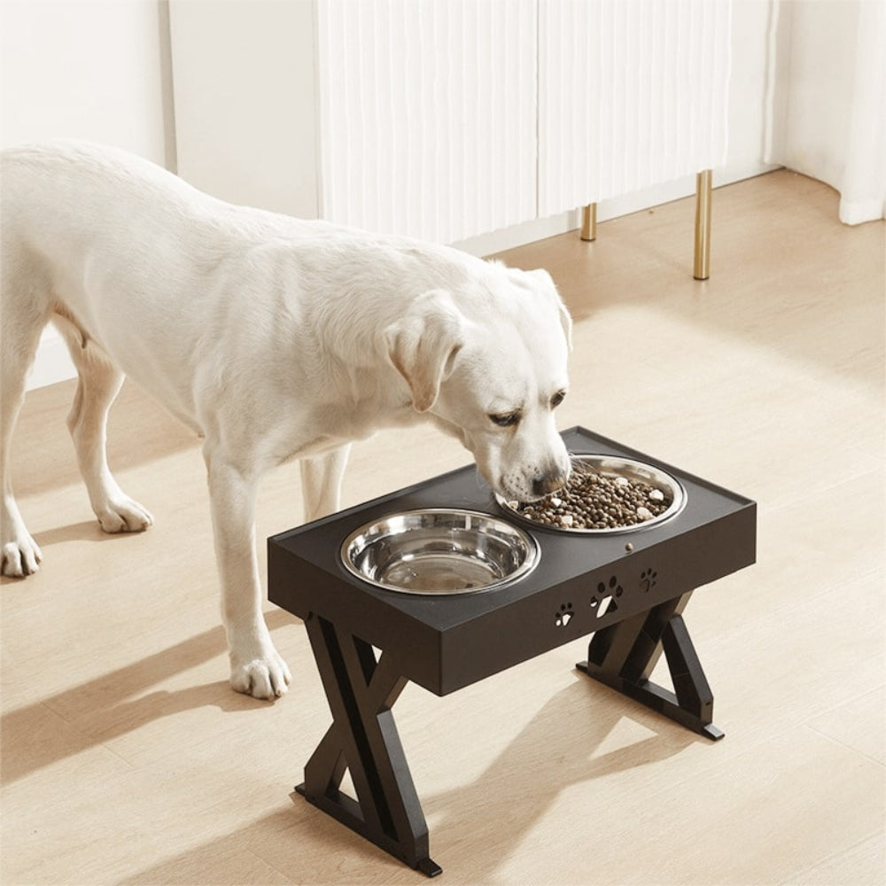 White dog eating from a raised pet feeder with two bowls on a light wooden floor.