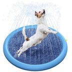 Dog playing with a blue inflatable sprinkler pad on a white background
