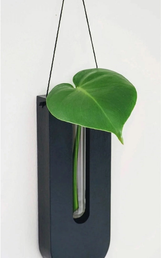 Hanging planter with a green leaf on a white background