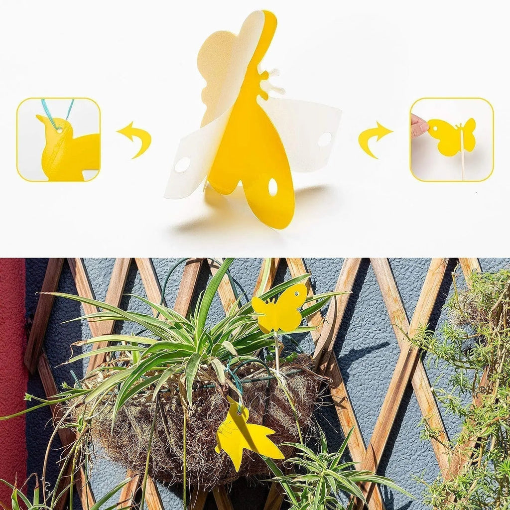 Sticky Traps for Houseplants | Chemical-Free Pest Control for Fungus Gnats