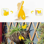 Sticky Traps for Houseplants | Chemical-Free Pest Control for Fungus Gnats