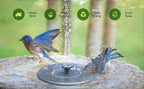 Two birds at a bird bath with green icons and text indicating benefits.