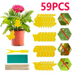 Sticky Traps for Houseplants | Chemical-Free Pest Control for Fungus Gnats