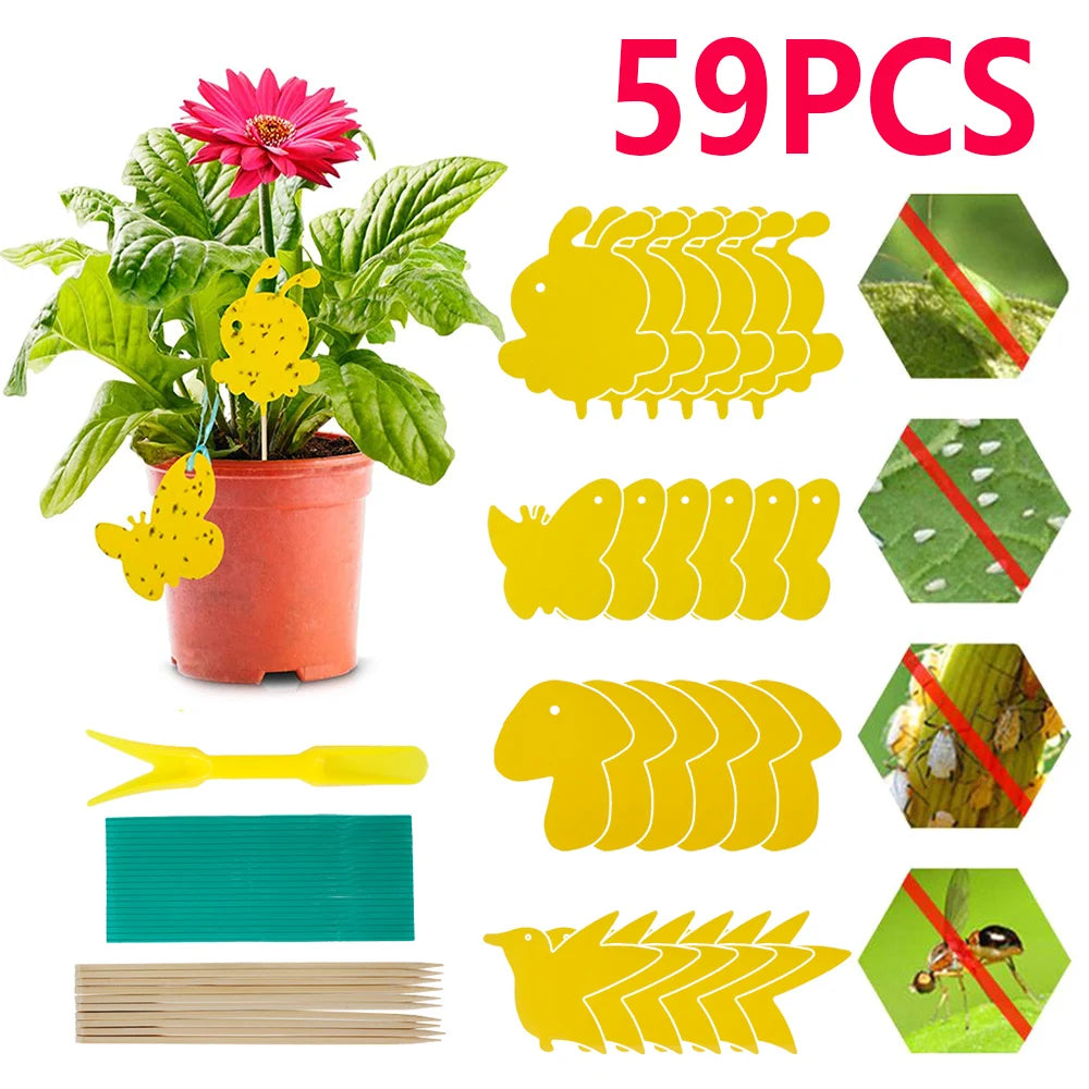 Sticky Traps for Houseplants | Chemical-Free Pest Control for Fungus Gnats