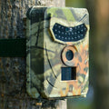 Camouflage-patterned wildlife camera attached to a tree