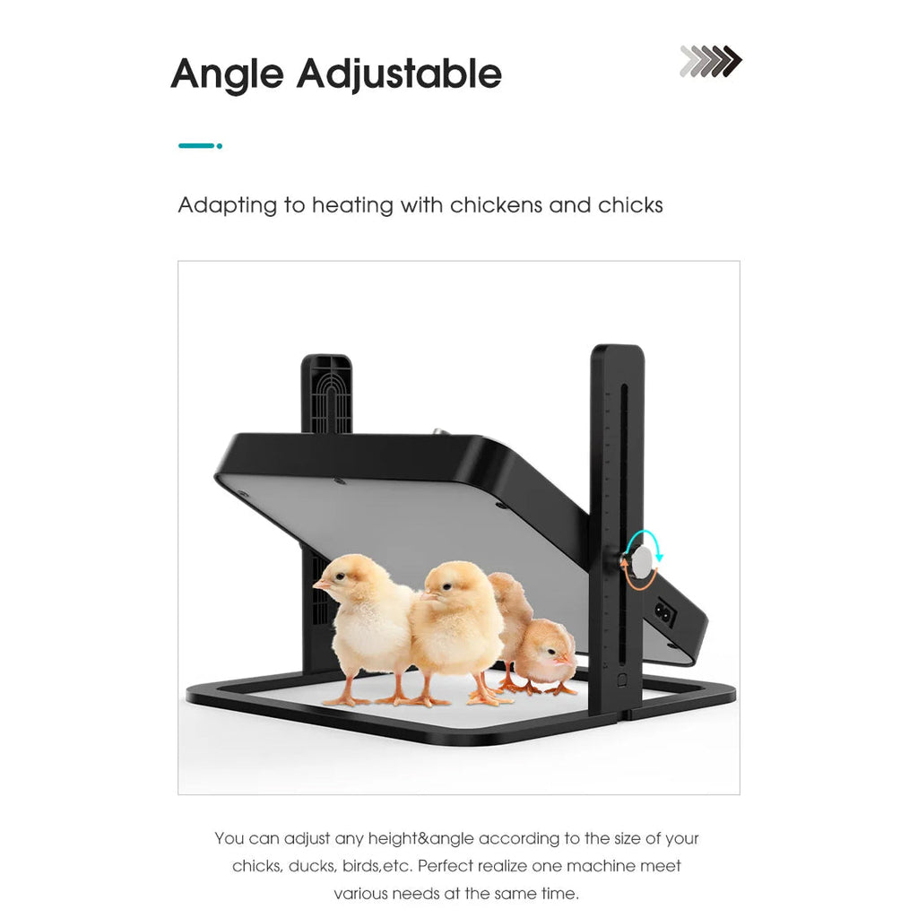 Heating device for chickens with adjustable angle, showing three chicks inside.
